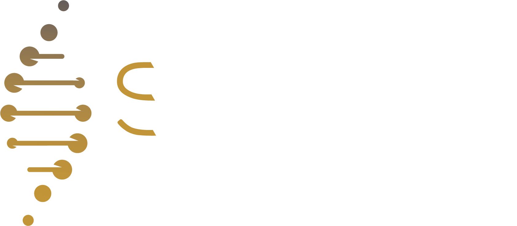 logo inv